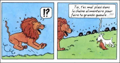 Qui de mieux que des animaux pour jouer les rôles de leurs semblables ?