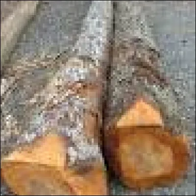 En 1947, qui joue et gagne, pour Christian Chamborant ?