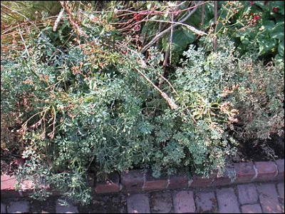 Lequel de ces films américains de 1930 a été tourné par John Cromwell ?