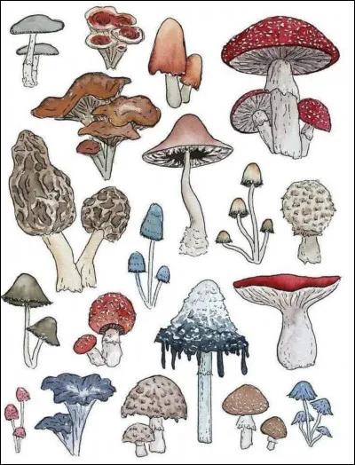 Quel &eacute;tait le m&eacute;tier de la premi&egrave;re personne &agrave; avoir eu la Covid-19 ?