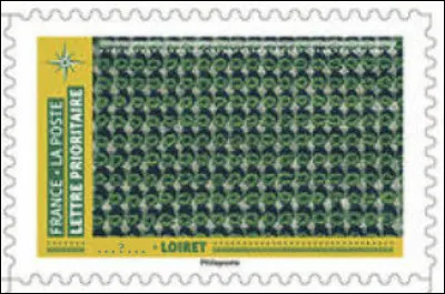 Dans le Loiret - "Cher" à Michel Delpech - on trouve beaucoup de ... (Complétez !)