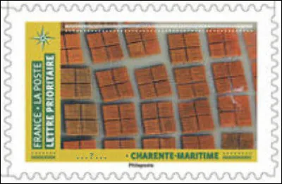 Charentais bien ordonné finit par soi-même ! Que voit-on ici ?