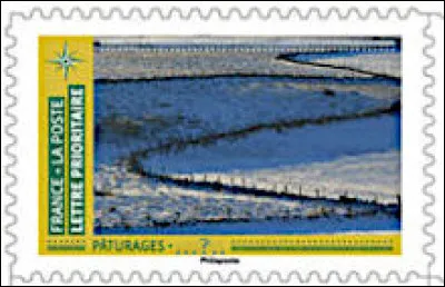 Des pâturages, maintenant, dans le département le moins dense de France : lequel ?