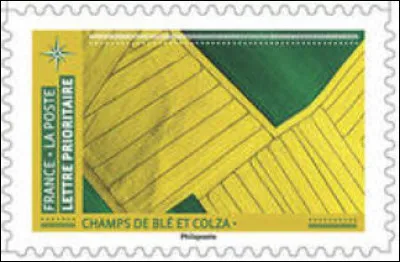 Tiens, je croyais qu'il n'y poussait que des pots de moutarde, dans ce département...