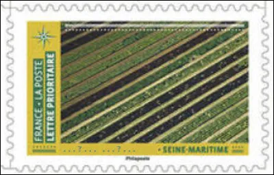 Ici, en Seine-Maritime, je vous demanderais plutôt ce que vous voyez, pour changer. Ma foi, qu'est-ce ?