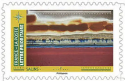 Ce que vous voyez ici sont des salins, pour les gourmets et les bonnes bouches... (Complétez !)