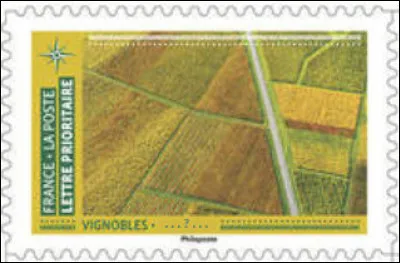 On veut bien en boire, mais pour les vendanges, laissons cela aux jeunes : ça fait mal, dans ... (Complétez !)