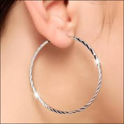 Comment appelle-t-on cette sorte de boucles d'oreilles ?