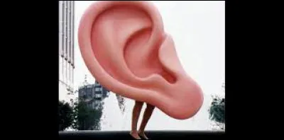 Lequel de ces mots ne désigne PAS un des composants de l'oreille ?