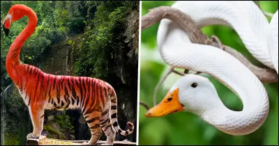 Aimes-tu les animaux ?