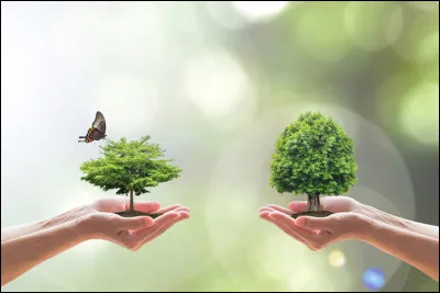 Es-tu intéressé par la nature et tout ce qui entoure la Terre en général ?