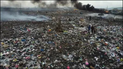 Enfin, pour terminer, jettes-tu tes déchets dans la poubelle ?