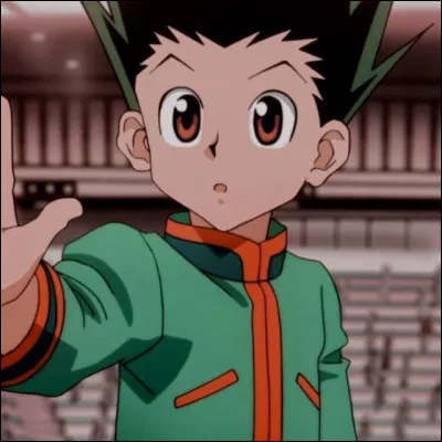 Qui est le meilleur ami de gon ?