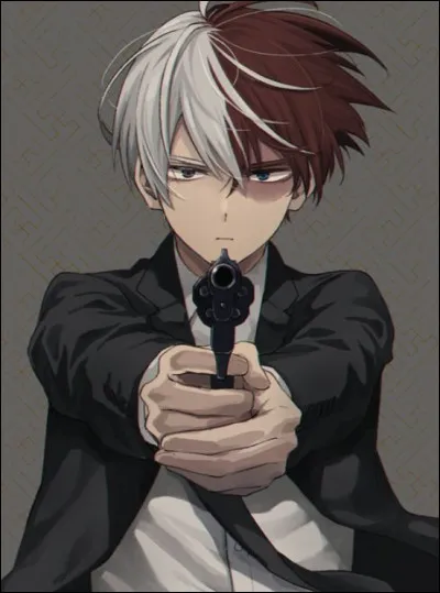 Veux-tu que ton husbando soit connu ?