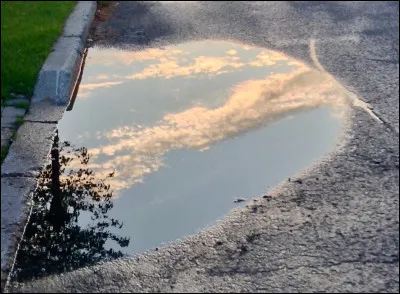 Tu es assoiffé, tu vois une flaque d'eau, que fais-tu ?