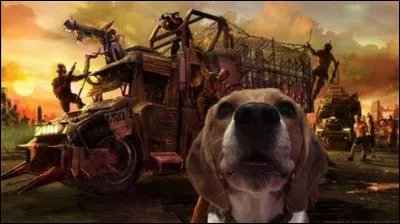 Aurais-tu un animal de compagnie ?