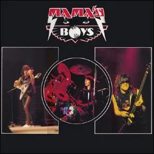 Mama's boys, groupe irlandais a t form par 3 frres, Pat, John et Tommy :