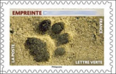 Qui est passé par là ?