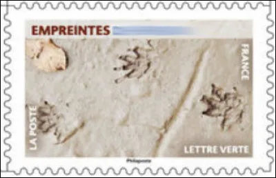 Qui est passé par là ?