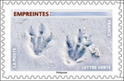 Qui est passé par là ?