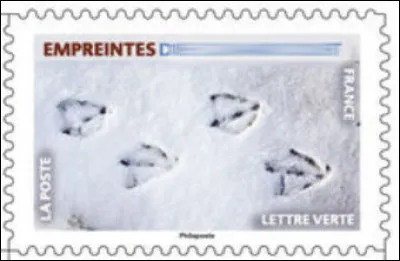 Qui est passé par là ?