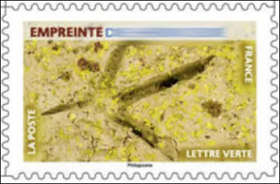 Qui est passé par là ?