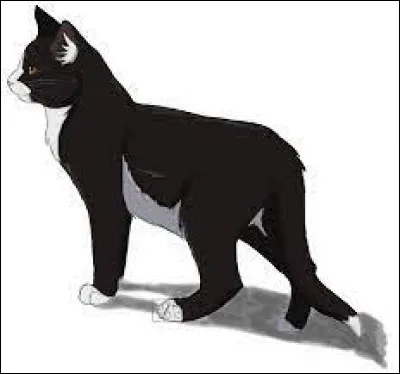 &Agrave; sa grande surprise, il n'a pas le r&ocirc;le qu'il pensait obtenir, quel r&ocirc;le a-t-il ?