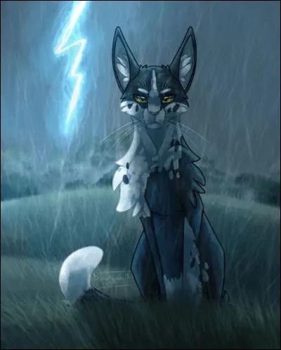 Il est certain que tout cela est l'&oelig;uvre d'un de ces &eacute;trangers ! Mais comment se nomme-t-il ?