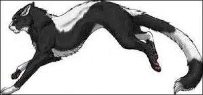 Auquel de ses 2 parents ressemble-t-il ?