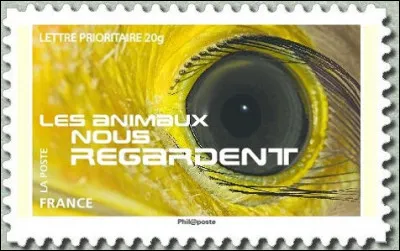 Ceci est un ... (Complétez !)