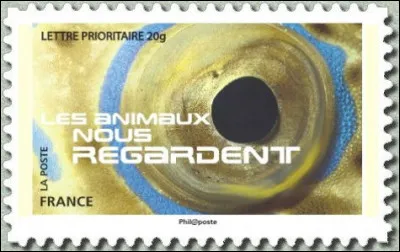 Là, vous n'allez pas me croire et pourtant si, c'est bien ... (Complétez !)