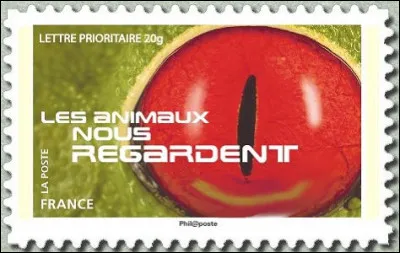 Quel oeil vous regarde ?