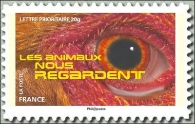 Quel oeil noir vous regarde ?