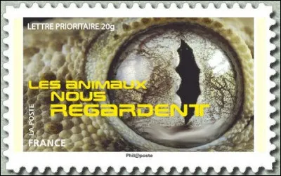 Brr... il n'a pas l'air commode, celui-ci ! Comment se nomme-t-il ?