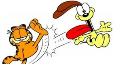 Que préfères-tu faire ?