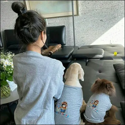 Comment s'appellent les deux chiens(nes) de Jennie ?