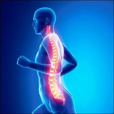 Quel nom donne-t-on à la deuxième vertèbre cervicale, qui se distingue des autres par sa face supérieure ?