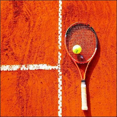 Quelle joueuse de tennis a été poignardée en plein match par un fan déséquilibré dune de ses rivales en 1993 ?