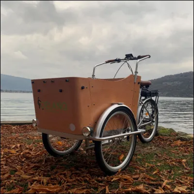 Quel comédien français reste indissociable du film "Le Triporteur" et de lexpression "Petit canaillou" quil dit une fois dans ce film ?