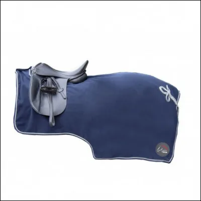 Comment appelle-t-on cette chose ?