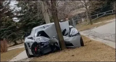 C'est ce qu'on appelle se payer un arbre. Pouvez-vous identifier la voiture ?