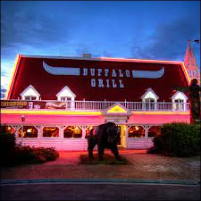 En quoi le groupe Buffalo Grill se renomme-t-il ?