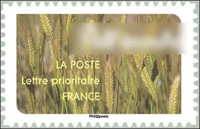 Voici l'engrain, appelé aussi ... (complétez !)