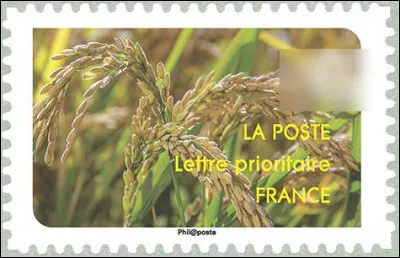 Il paraît qu'il conviendrait d'en limiter les apports alimentaires (nourrissons et femmes enceintes), en raison des quantités naturellement élevées ...