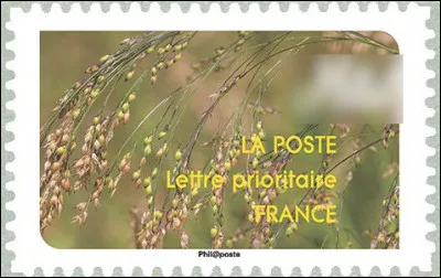 Celle-ci nous rappelle vaguement une ancienne cité grecque d'Asie mineure : laquelle ?