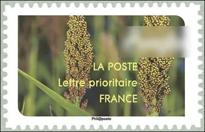 Un peu moins rustique que le précédent, voici le ... (complétez !)