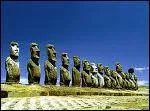 Une des les les plus isoles du monde, dans le sud est de l'ocan Pacifique, elle dpend du Chili. Les statues qu'on peut y admirer s'appellent des moas :