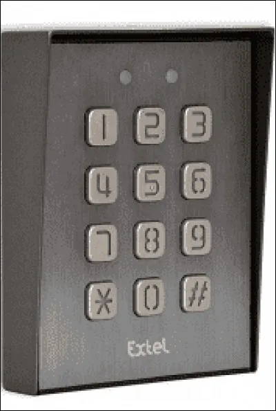 Quel est l'autre nom du rat des roseaux ?