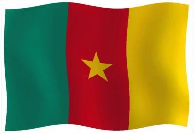 La ville de Douala se trouve sous ces couleurs ...