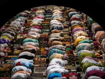 En cas de nécessité, le musulman peut-il manger du porc ou de la viande non halal ?